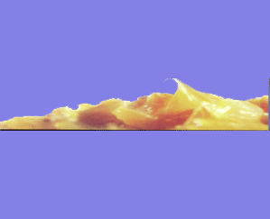 ˾a(chn)Ʒ2