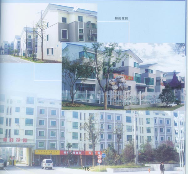 ̰-(xing)퍻@